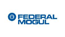 Federal Mogul