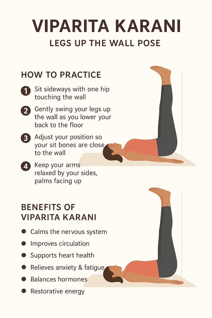 yoga classes in malviya nagar